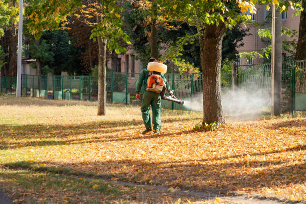 Trusted San Tan Valley, AZ Pest Control Experts